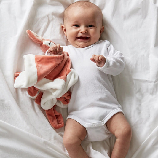 Personalised Woodland Animals Comforter Baby Blanket Simply Colors