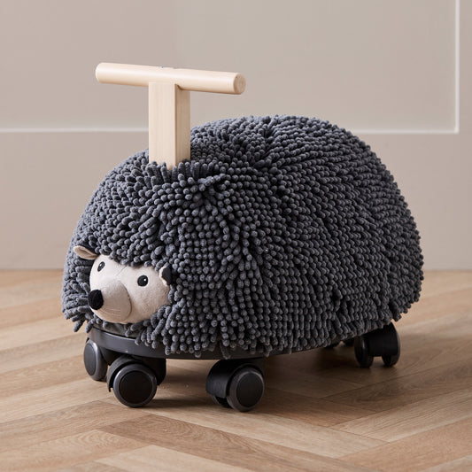 Ride On Hedgehog Toy